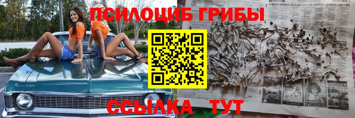 Псилоцибиновые грибы мухоморы  Вход с VPN  Ревда 